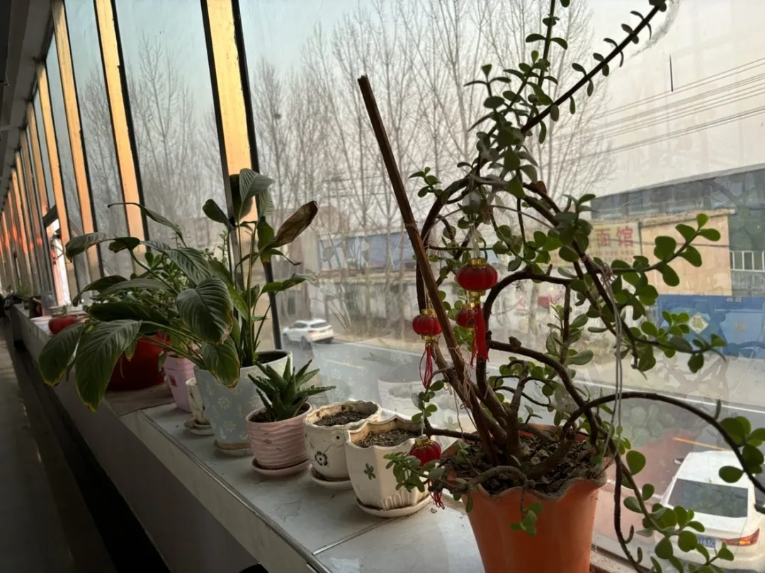 pg电子游戏(官方)最新IOS/安卓版/手机版APP下载